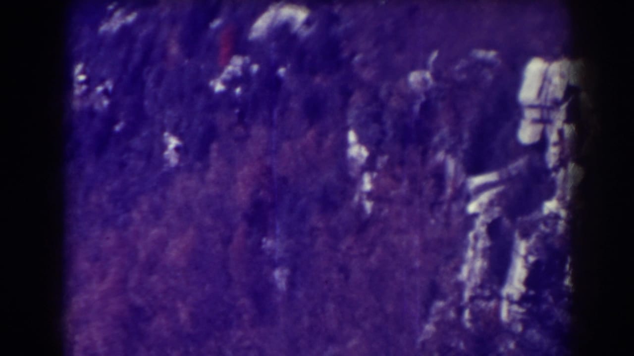 Tree-covered hillside with bright rock shapes near the right side.