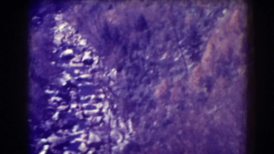 Soft, grainy 8mm view of wooded mountain terrain at Blackwater Falls with heavy purple fading and indistinct rocky detail.