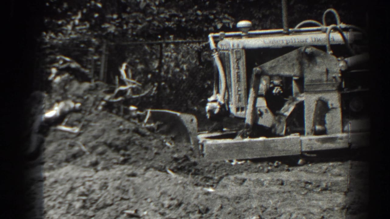 Tracked tractor pushes dirt beside roots in a wooded work area.