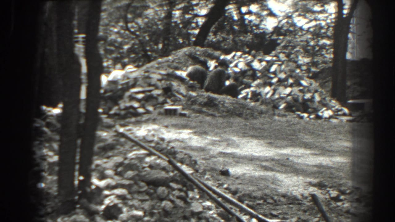 Wooded dirt work area with a trench, rails or boards, and piles of excavated soil.