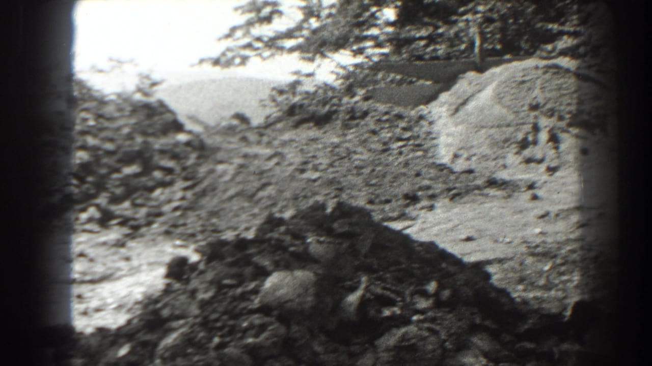 Outdoor work area with gravel piles, trees, and rough ground in black-and-white film.
