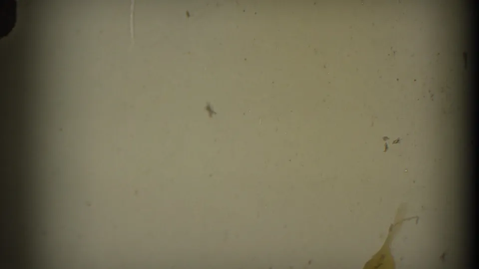 A mostly blank section of physical 8mm film shows dust, scratches, exposure variation, and a dark vertical gate edge.