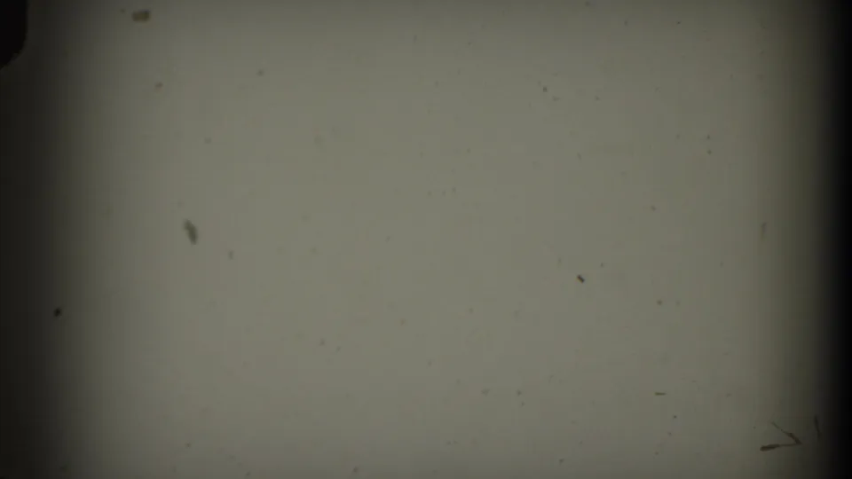 A mostly blank 8mm frame contains a dark vertical gate edge, scattered dust specks, and mild discoloration from the film scan.