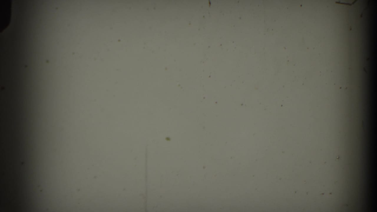 Pale blank 8mm frame with dark edge bands, dust specks, and faint scratches.