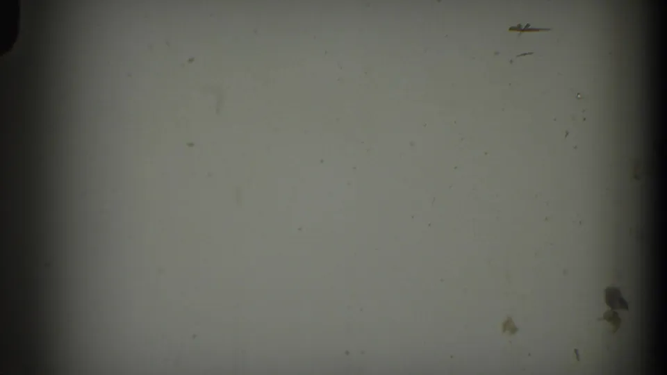 Pale 1938 8mm frame from the Cumberland reel with a dark vertical edge band, surface dust, and subtle exposure mottling.