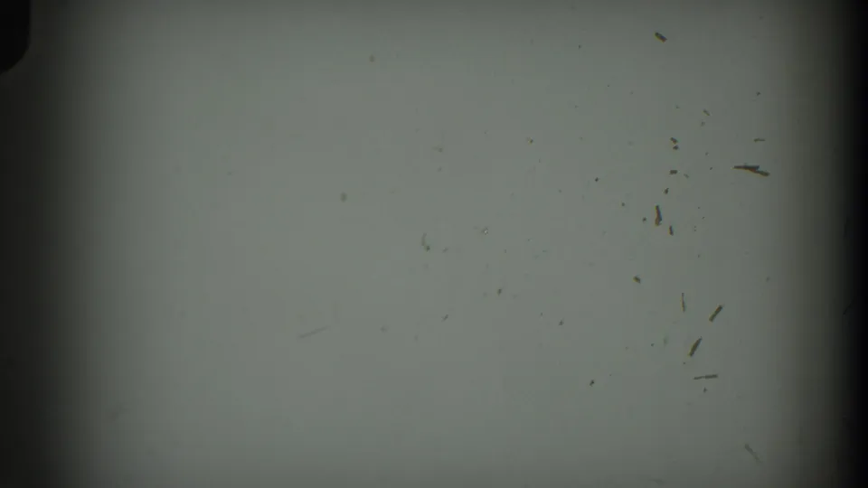 Cumberland 1938 8mm frame showing blank exposed film, a horizontal frame boundary, edge darkening, dust, and small debris marks.