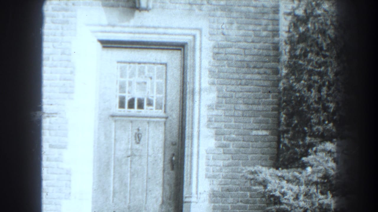 Closed wooden door with divided window set in a brick wall beside a shrub.