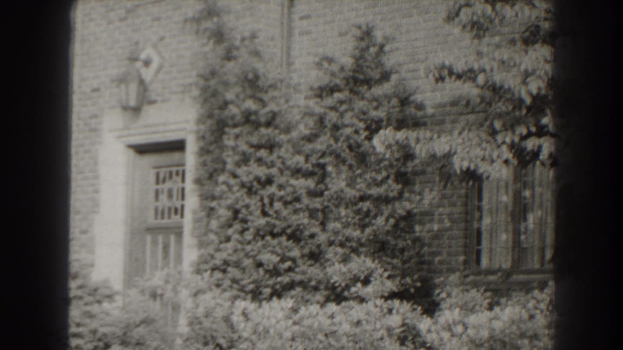 Brick house exterior partly hidden by shrubs and tree branches.