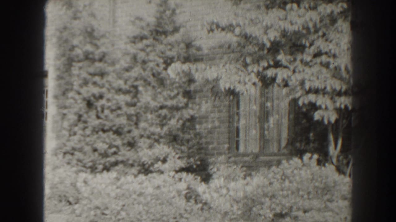Foliage and a partial building wall beside shadowed stonework.