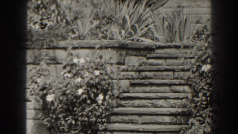 Weathered stone steps in Cumberland, Maryland, partly enclosed by bushes and tall garden plants in a 1938 8mm home-movie frame.