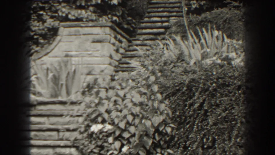 1938 Cumberland, Maryland home-movie frame showing stone steps, masonry, and thick garden plants in soft black-and-white 8mm texture.