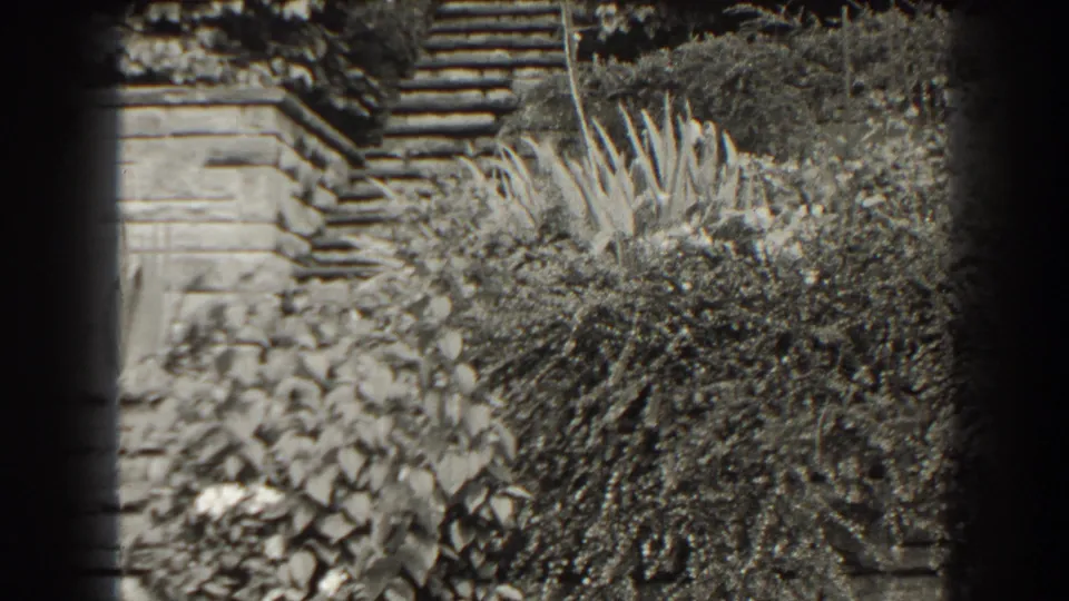 Black-and-white 8mm view of a Cumberland garden with shrubs, spiky plants, steps, and masonry visible through soft focus.