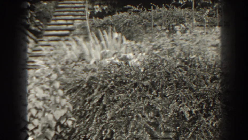 Home-movie frame of the garden from a slightly shifted angle, with dense foliage, steps, and heavy black frame-edge vignetting.
