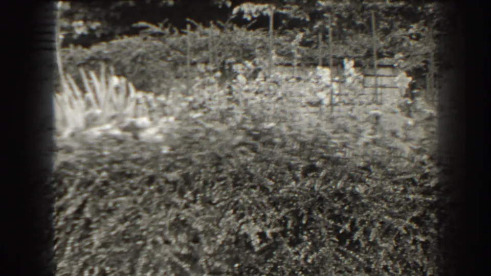 1938 Cumberland, Maryland 8mm frame showing dense shrubs, a fence line, and a partially visible pale garden fountain at left.