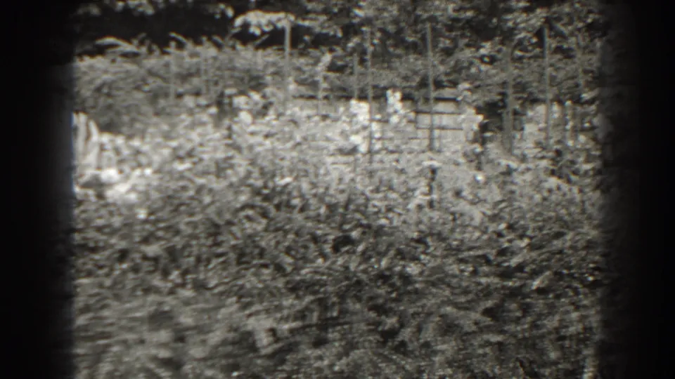 1938 Cumberland, Maryland garden view with dense foliage, a fence, and the pale edge of a fountain visible near the left side.