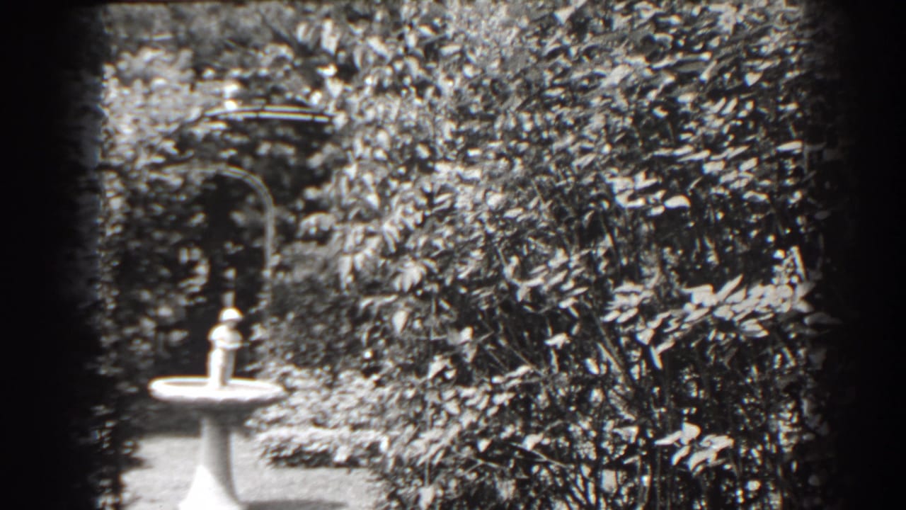 White birdbath in a leafy garden with a shaded arch behind it.