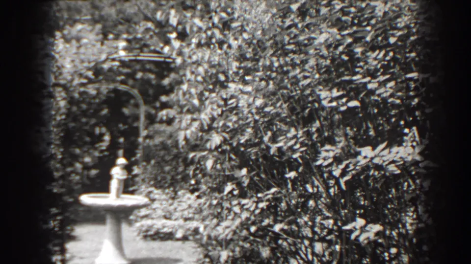 The birdbath remains centered left in a Cumberland garden, surrounded by bright leaves and a shadowed arched feature.