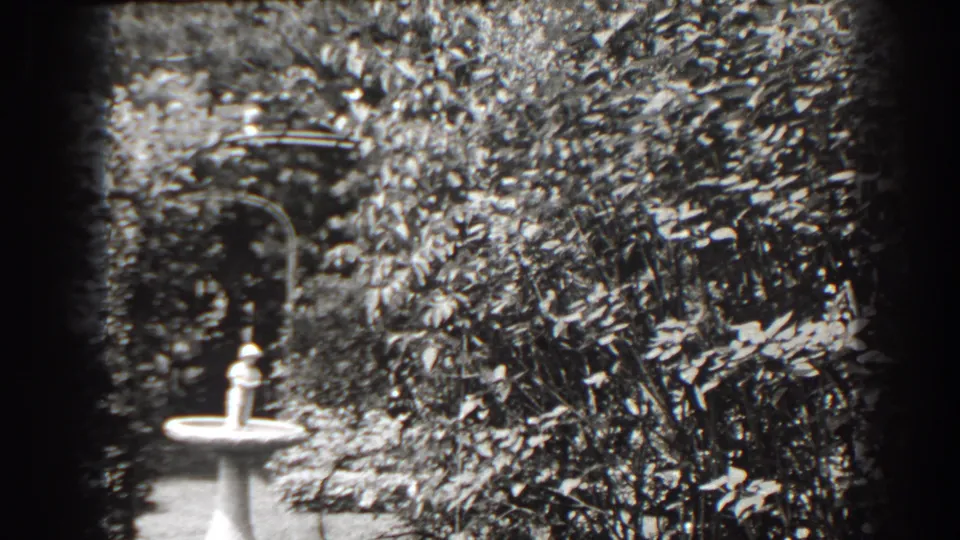 A black-and-white 8mm frame shows the same white birdbath in a leafy Cumberland garden, with strong sunlight and soft focus.