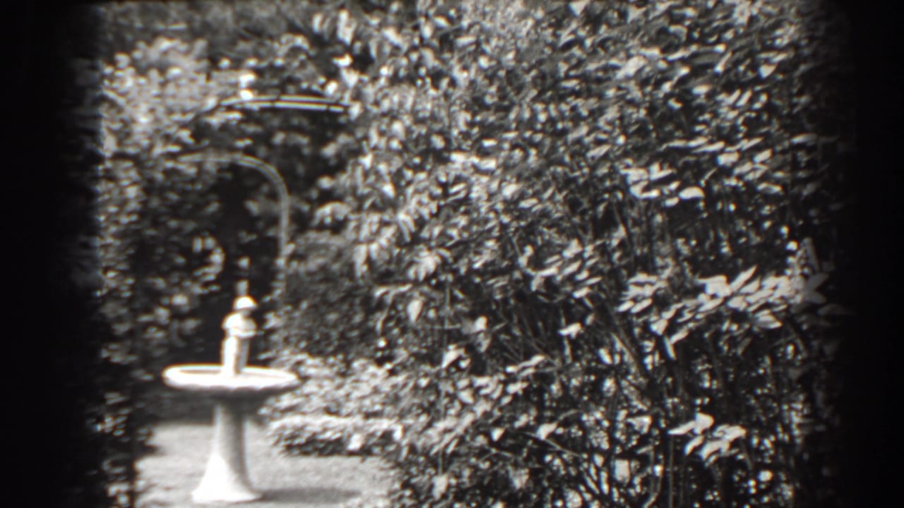 White bird bath in a leafy garden with dark frame edges.