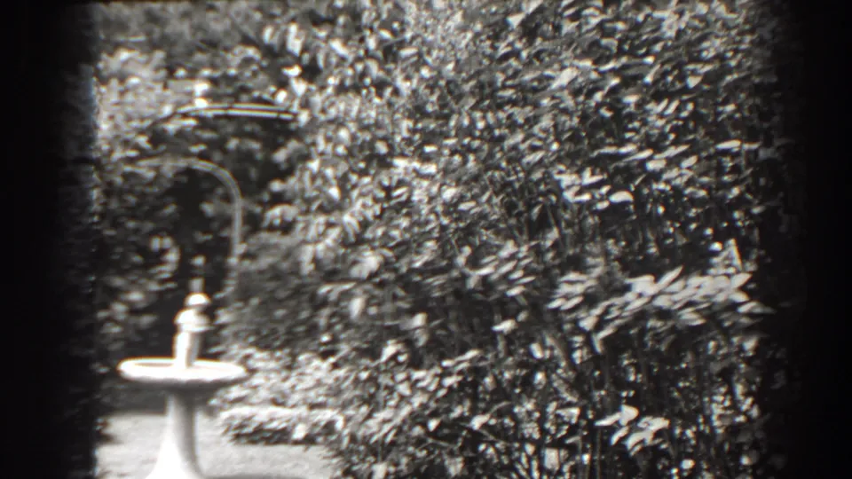 Black-and-white home-movie frame of a Cumberland garden bird bath surrounded by thick shrubs and visible film-edge vignetting.