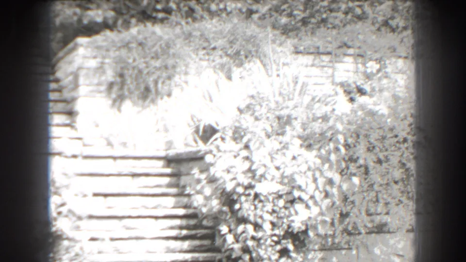 Black-and-white 1938 Cumberland garden view showing masonry steps, a stone wall, and overexposed planting in the foreground.