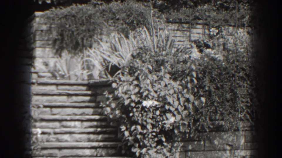 Black-and-white home-movie frame of Cumberland garden masonry, with steps, wall courses, shrubs, and ornamental planting.
