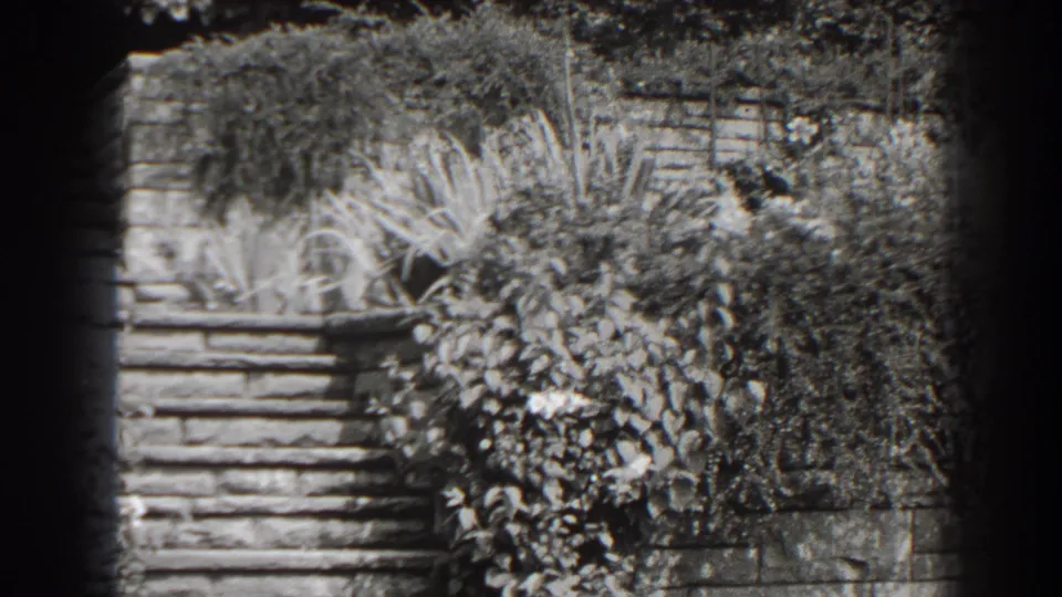 1938 Cumberland, Maryland 8mm frame showing stone steps, a retaining wall, vines, and dense garden foliage.