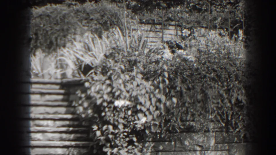 Black-and-white 8mm view in Cumberland, Maryland, with stonework partly surrounded by vines and leafy shrubs.