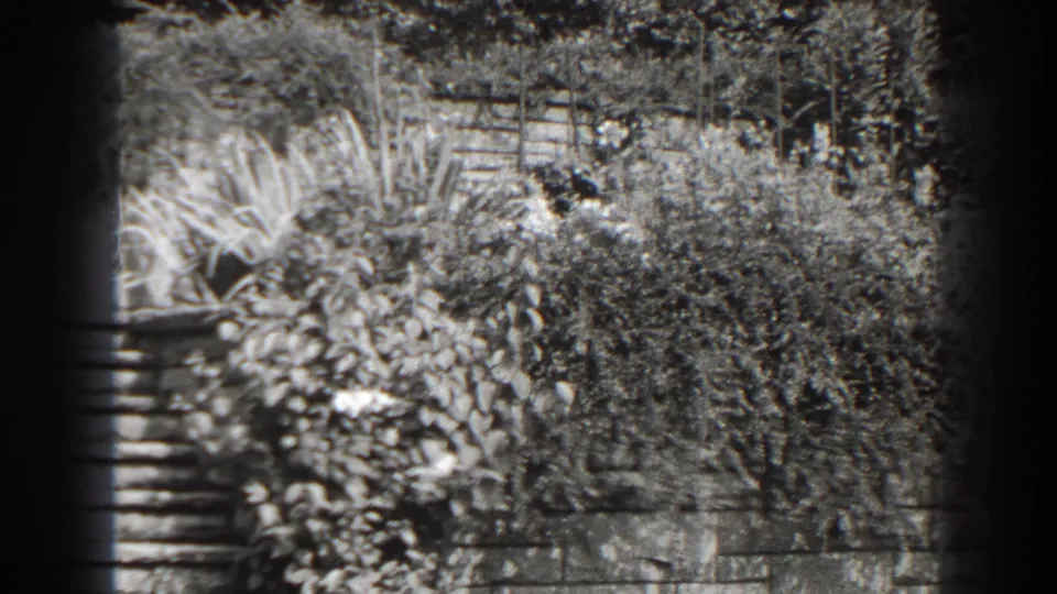 1938 home-movie frame showing an overgrown Cumberland garden walkway with stone edging and dense foliage.