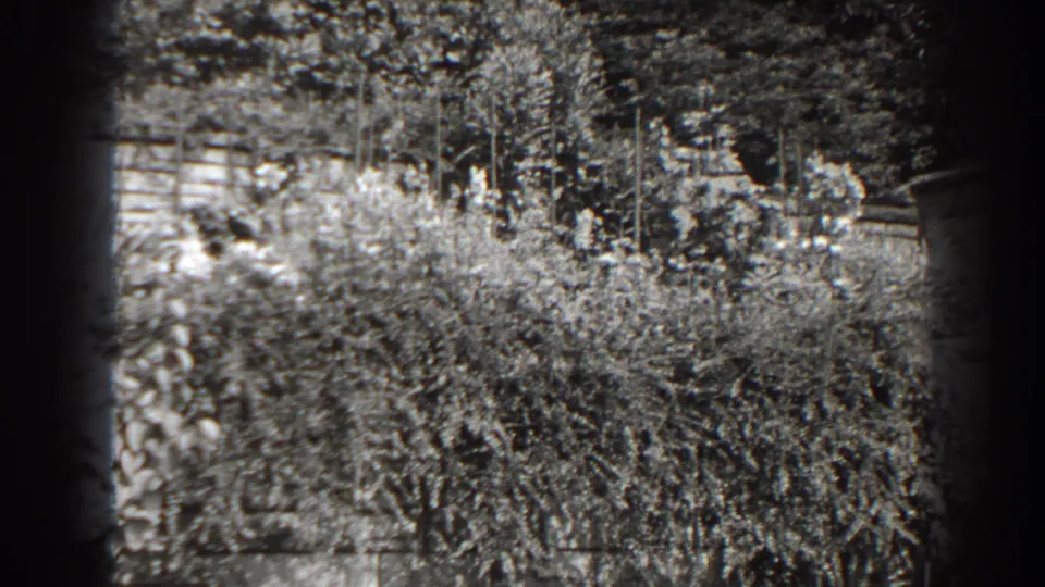 Black-and-white 1938 Cumberland garden view with thick shrubs, trees, and stonework in a steady home-movie frame.