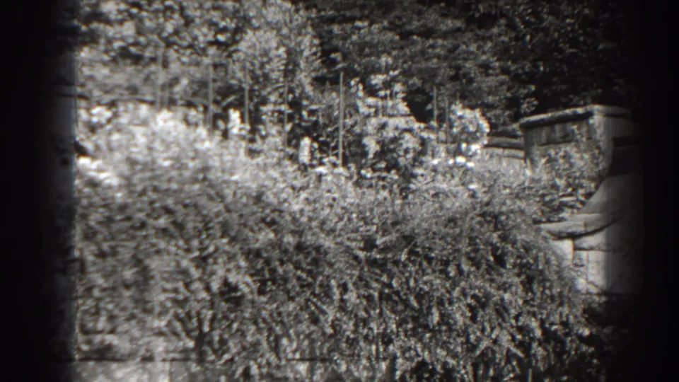 1938 Cumberland, Maryland frame showing dense foliage, a low wall, and possible garden steps at the right edge.