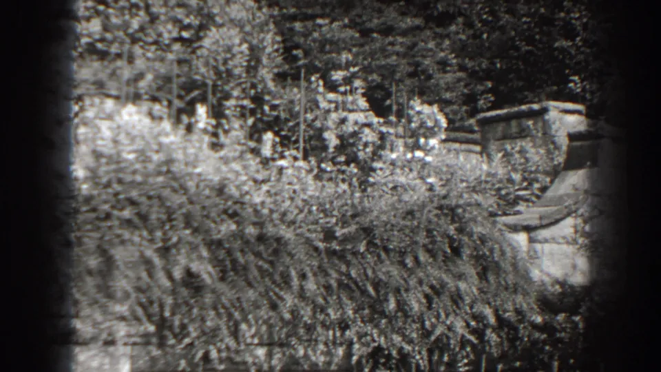 1938 Cumberland, Maryland 8mm frame showing an old wall and capped masonry partly obscured by heavy foliage.