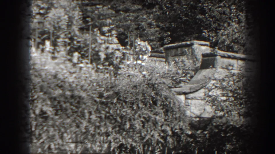 Black-and-white 8mm view of a weathered wall in Cumberland, Maryland, with shrubs and trees filling the foreground and background.