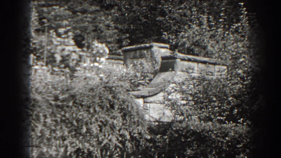 1938 home-movie frame from Cumberland showing a sloped wall section and capped masonry embedded in dense garden growth.