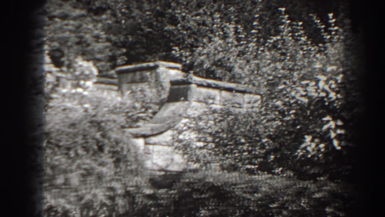 Weathered wooden garden object behind foliage in bright sun.