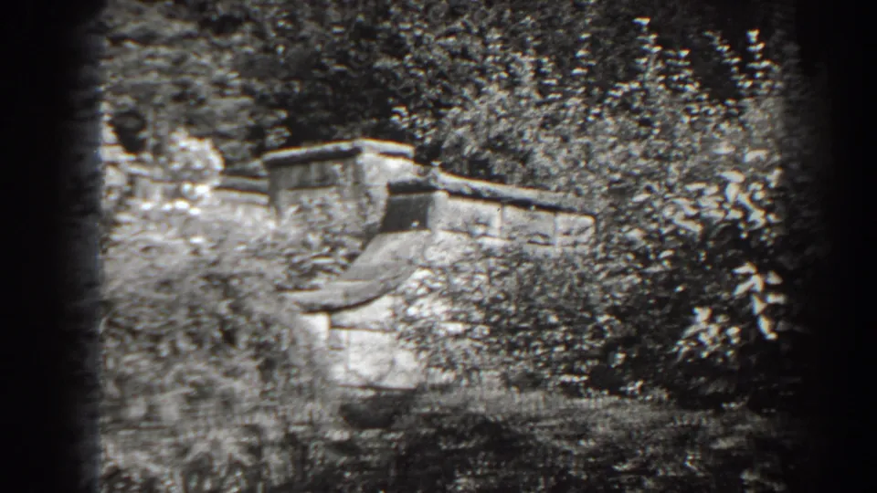 1938 Cumberland, Maryland home-movie frame showing a weathered wooden garden feature partly obscured by shrubs and bright foliage.