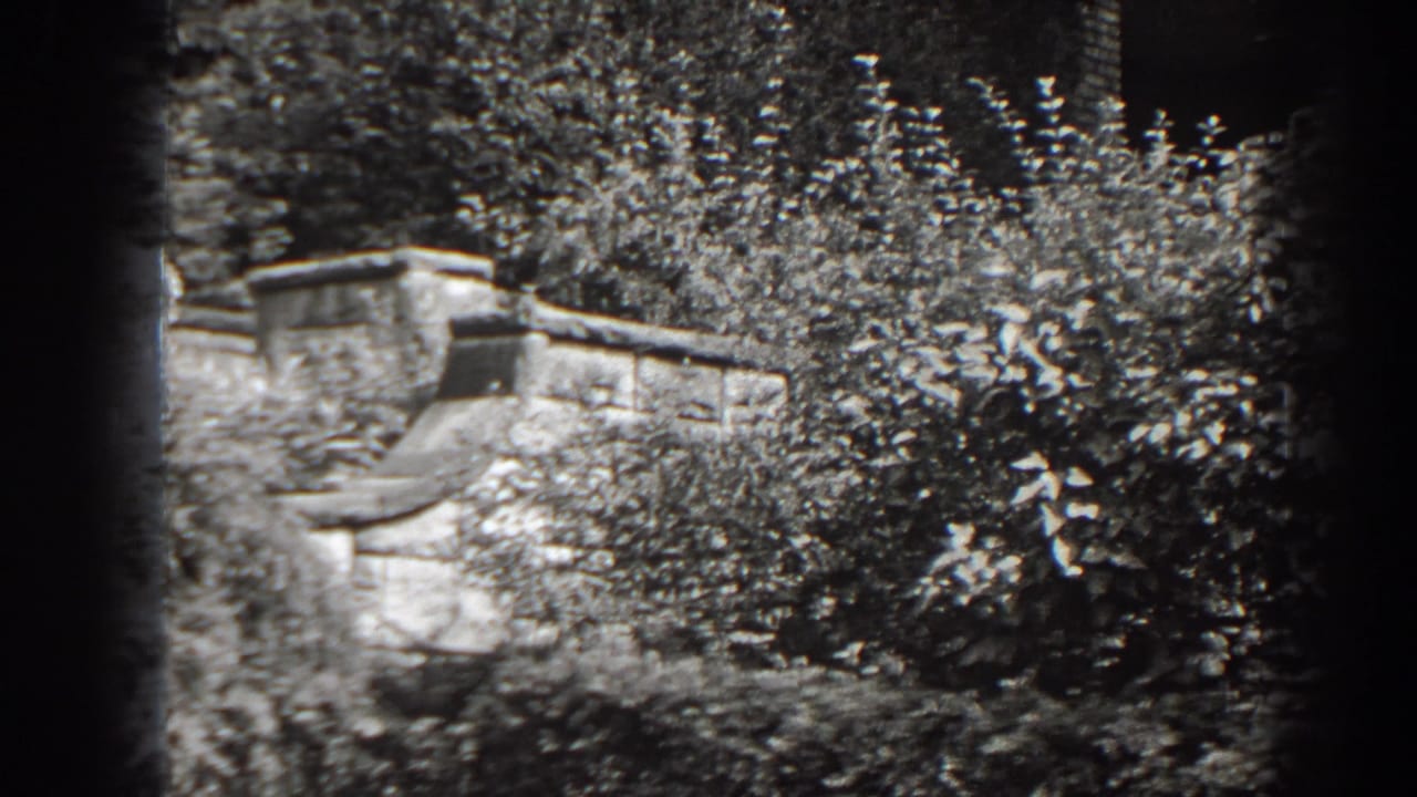 Wooden garden feature partly hidden by shrubs and trees.