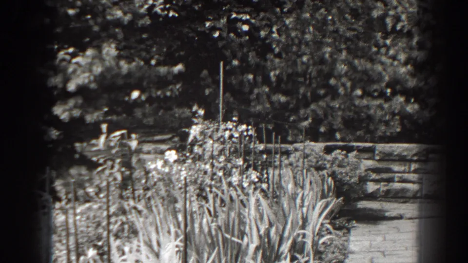 1938 Cumberland garden view showing tall flower stalks, a low stone retaining wall, and a paved path or steps in black-and-white 8mm.