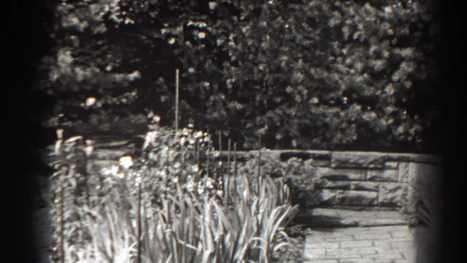 1938 Cumberland, Maryland frame of a planted garden bed, bright blossoms, long leaves, slate path, and low stone wall.