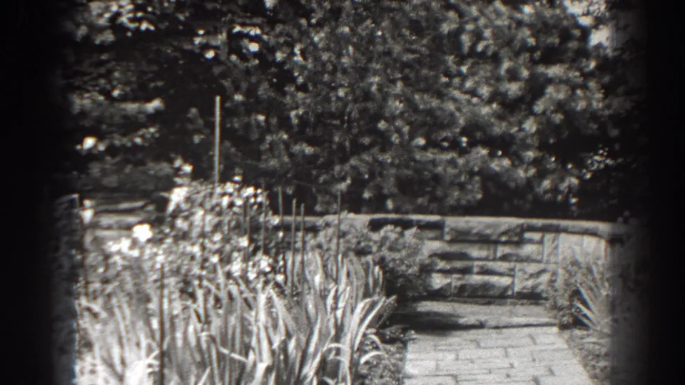 1938 Cumberland, Maryland 8mm frame with flowering plants, path, low stone wall, and dense trees in soft focus.