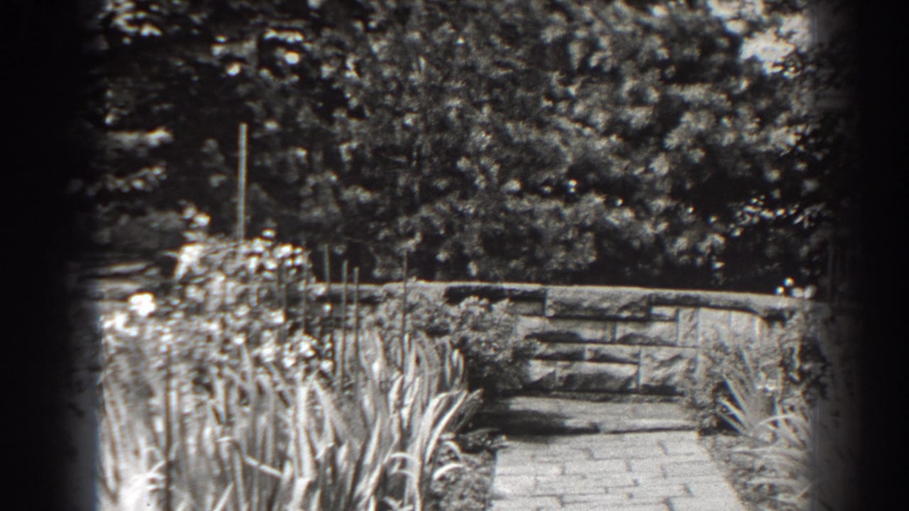 Stone garden wall beyond a brick path framed by tall grasses and leafy trees.
