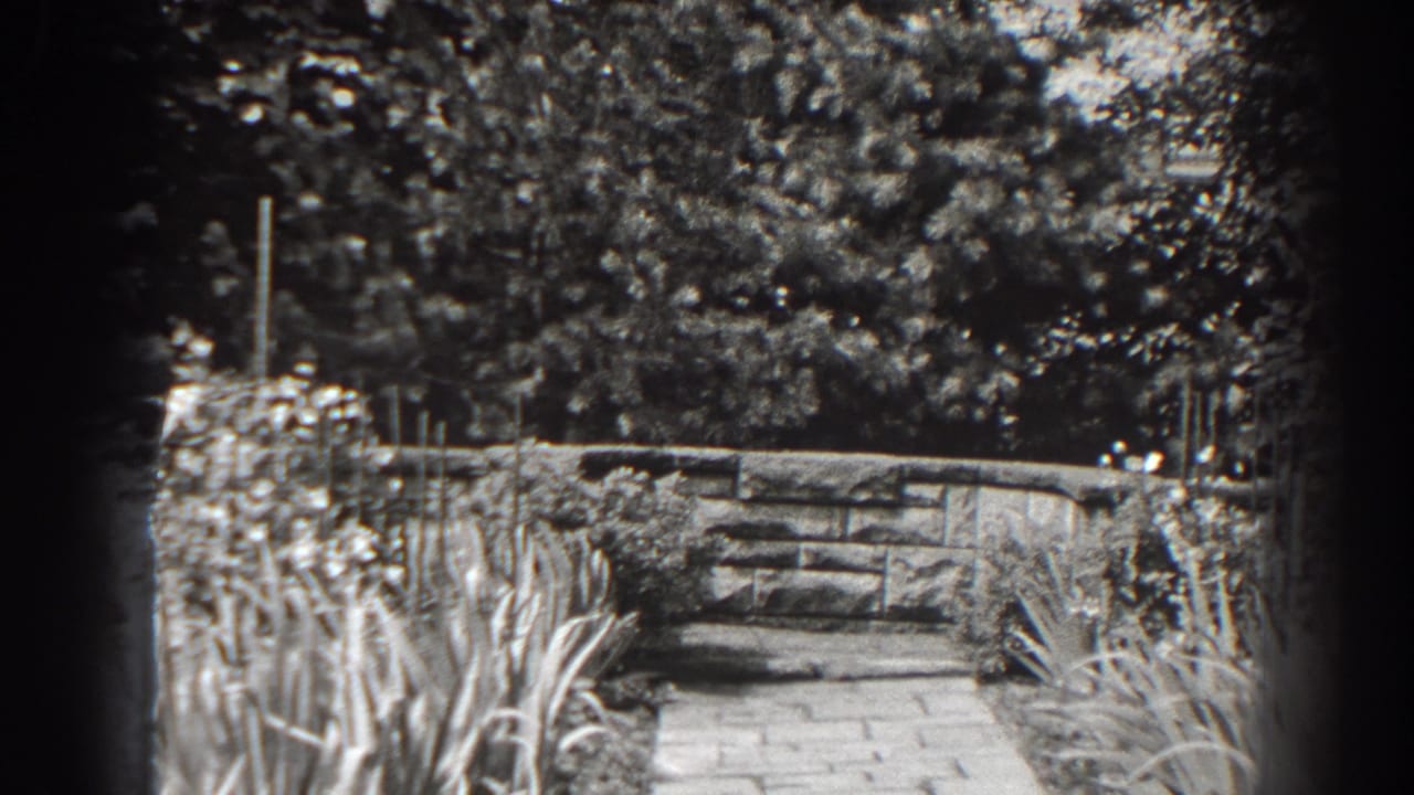 Garden path and stone wall seen through soft focus with grasses and trees around it.