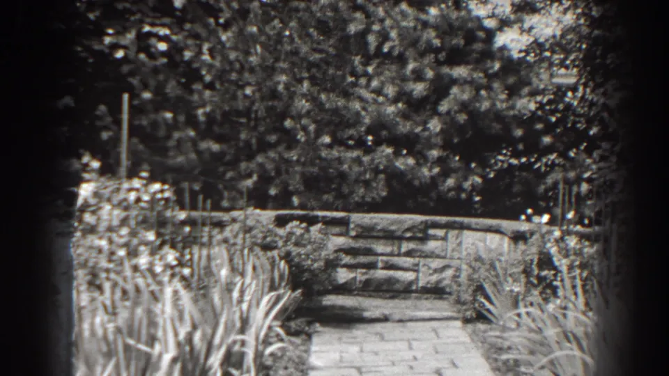 Soft black-and-white 8mm view of a Cumberland garden path bordered by tall grasses, shrubs, and a low stone wall.