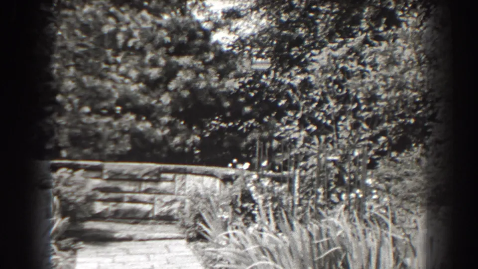 1938 Cumberland home-movie frame showing a bright garden with a low stone wall, grasses, flowers, and leafy trees.