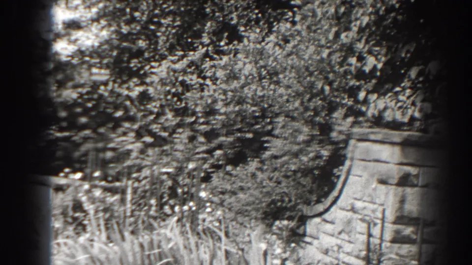 1938 Cumberland 8mm frame showing a garden bed, tall grasses, leafy trees, and a curved stone wall section.
