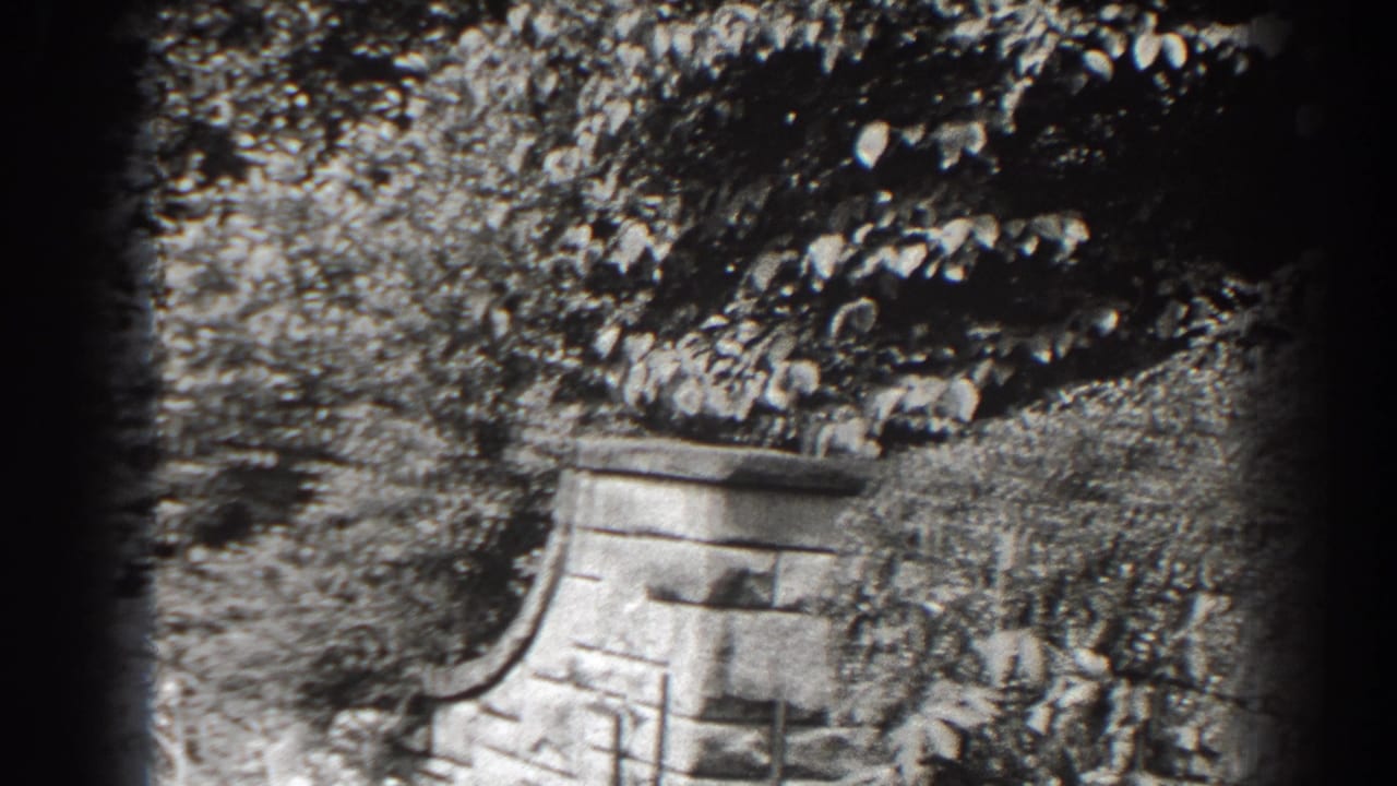 Stone wall and ivy below dense foliage in black-and-white 8mm footage.