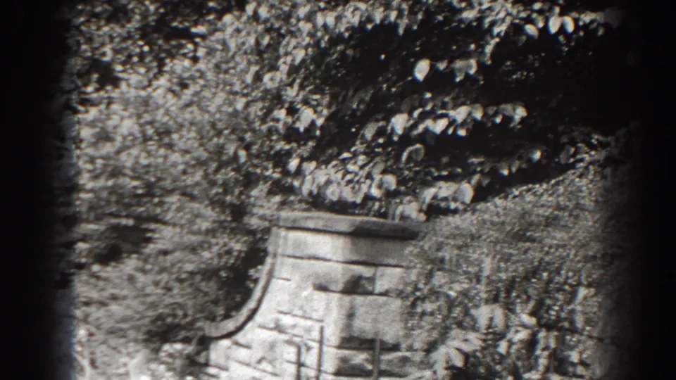 Cumberland, Maryland 1938 home-movie frame showing a stone wall, ivy, and overhanging foliage in black and white.