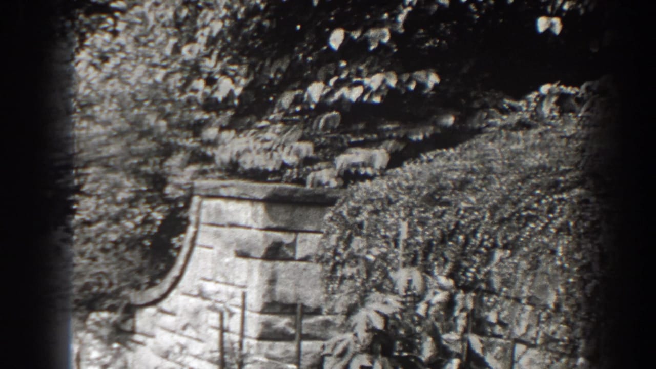 Black-and-white 1938 Cumberland frame with ivy-covered masonry, garden shrubs, and soft 8mm edge darkening.