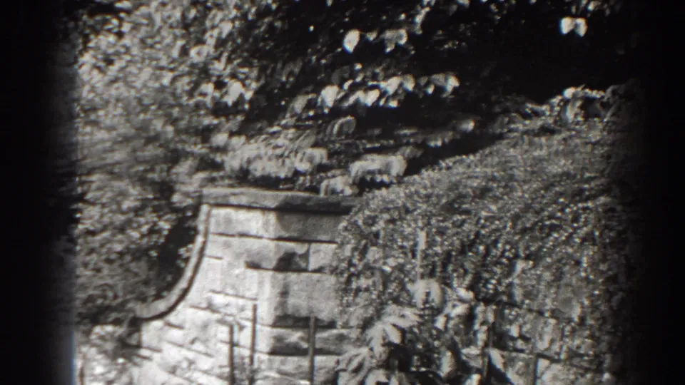 Black-and-white 1938 Cumberland frame with ivy-covered masonry, garden shrubs, and soft 8mm edge darkening.