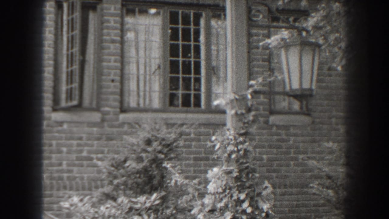 Brick house facade with multi-pane windows, curtains, vines and a wall lantern.